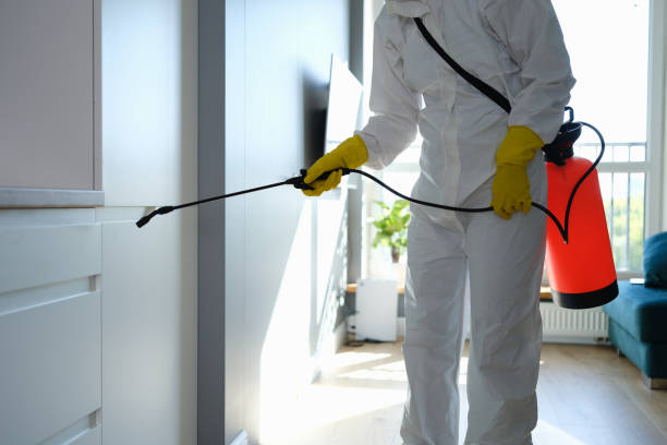 Mold Removal and Inspection in Detroit, MI