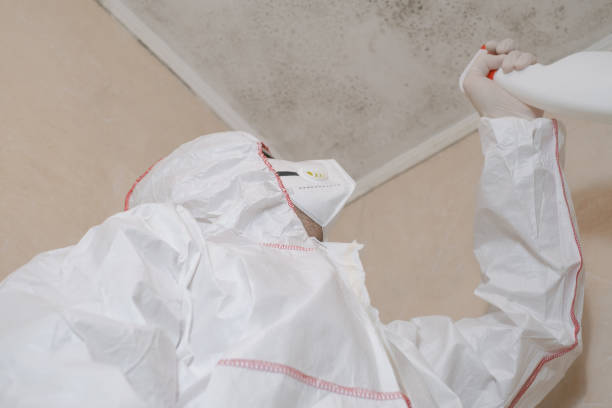 Best Toxic Mold Removal  in Detroit, MI